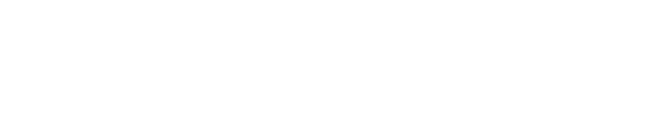 Domalog srl